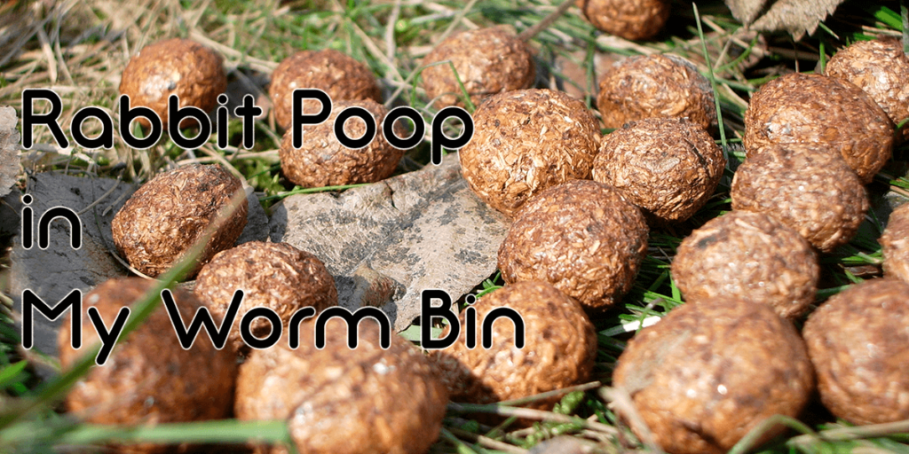 what helps you poop naturally