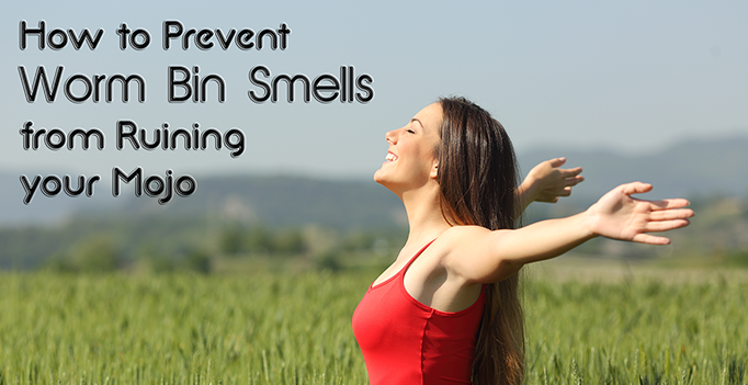 How to Prevent Worm Bin Smells from Ruining your Mojo2