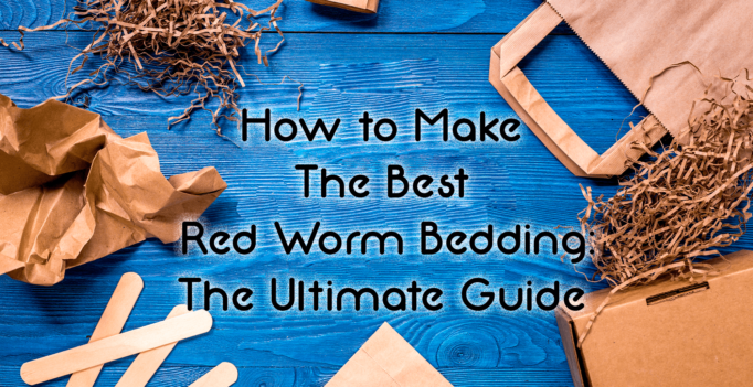 How to Make the Best Red Worm Bedding Ultimate Guide