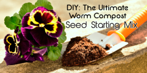 DIY seed starting mix header image