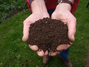 DIY seed starting mix soil