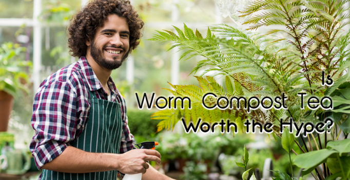 Worm Compost Tea Images