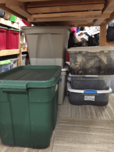 Indoor Winter Worm Composting placement