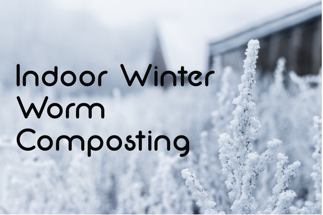 indoor-winter-worm-composting