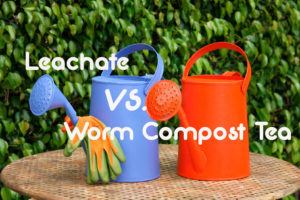 Leachate vs. Worm Compost Tea What’s the Difference?