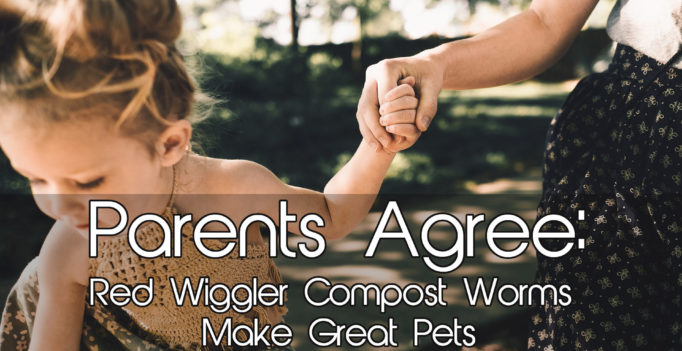 Parents Agree: Red Wiggler Compost Worms Make Great Pets
