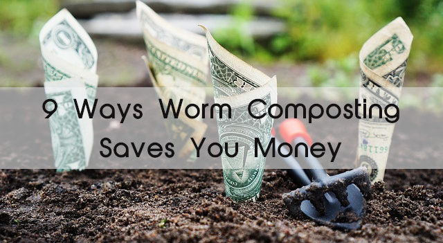9 Ways Worm Composting Saves You Money