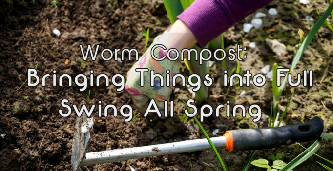 Worm Compost: Bringing Things into Full Swing All Spring