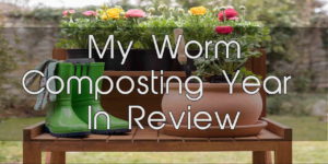 My Worm Composting Year in Review