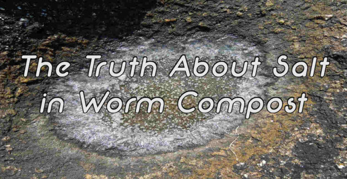 The Truth About Salt in Worm Compost