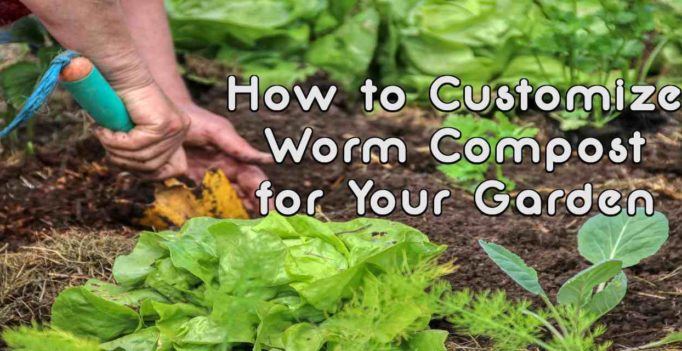How to Customize Worm Compost for Your Garden