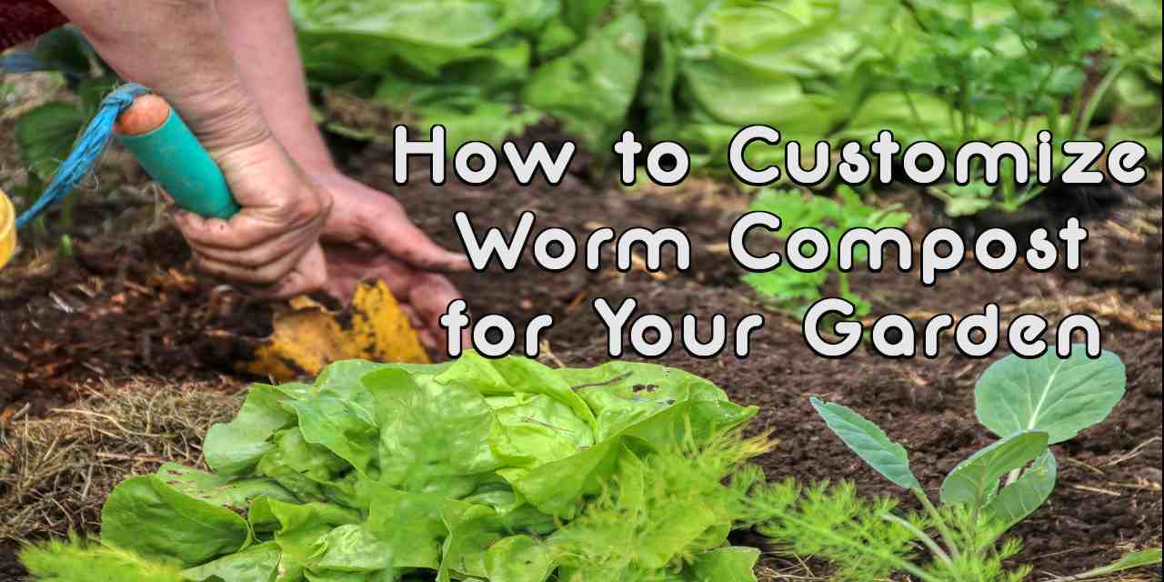 How to Customize Worm Compost for Your Garden 